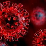 virus: organismi di dimensioni minuscole