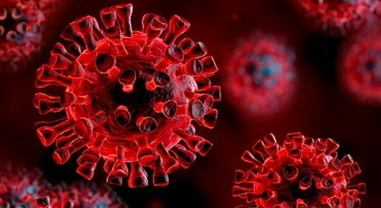 virus: organismi di dimensioni minuscole