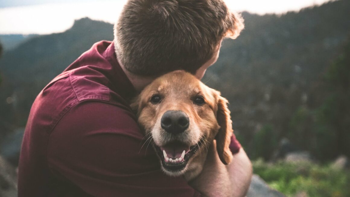 La Gen Z preferisce i propri animali domestici al loro partner