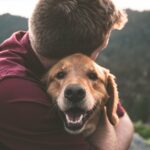 Che sia un gatto o un cane non importa, il legame con i nostri animali domestici è ineguagliabile e questo affetto sembra aumentare con le nuove generazioni, infatti a seguito di vari sondaggio si è rivelata la Gen Z come la generazione che tiene di più ai propri animali al punto da preferirli al proprio partner